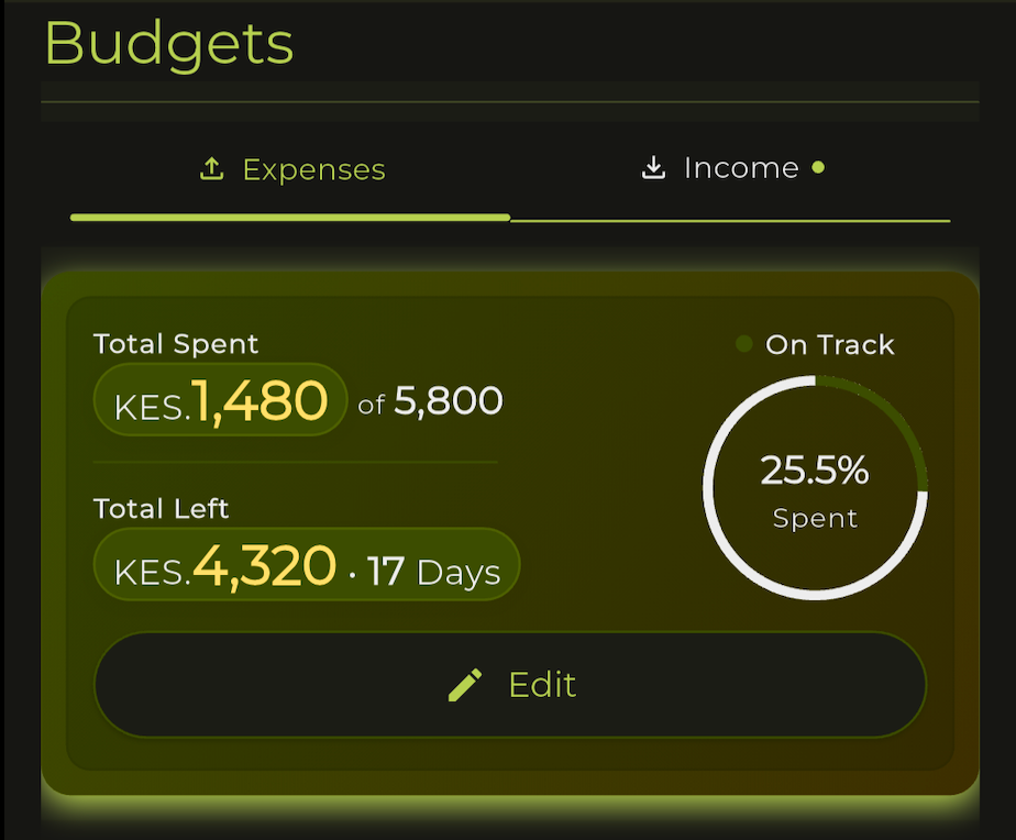 How Wavvy Wallet Can Guide You Through Budgeting